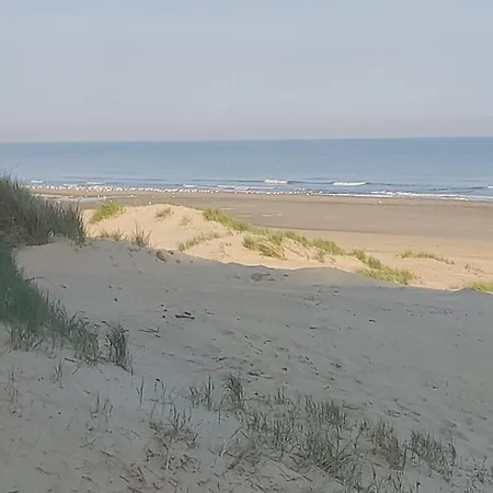 Zon, Zee En Ontspanning *