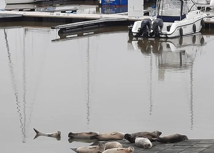 Zon, Zee En Ontspanning Daire